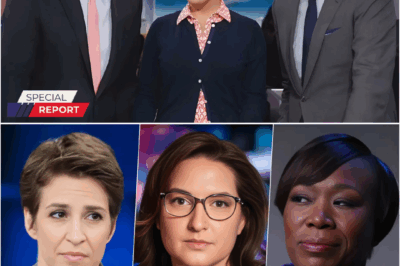 MSNBC CHAOS: Maddow Breaks Silence as Morning Joe Survives—And and all prime-time hosts of color were axed
