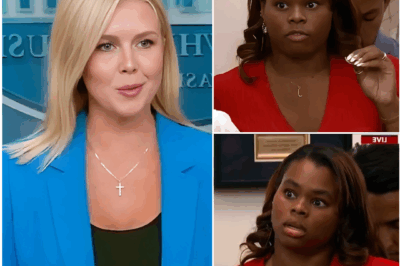 Fans are losing their minds over Karoline Leavitt’s four-word refined comeback in a fiery exchange that left theformer CNN reporter pale..L0