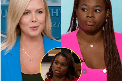 Fans are losing their minds over Karoline Leavitt’s four-word refined comeback in a fiery exchange that left theformer CNN reporter pale..L1