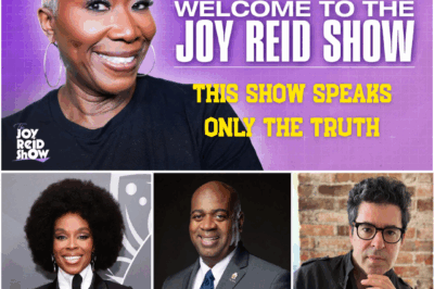 From Cable News Giant to Digital Media Maverick: Joy-Ann Reid’s Spectacular Rise After MSNBC
