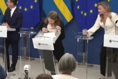 The Fainting Moment: Sweden’s New Health Minister and the Invisible Weight of Power