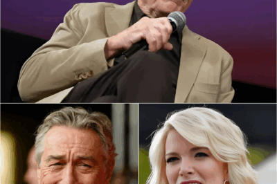 Robert De Niro’s Hot Mic Remark Freezes Megyn Kelly’s Show