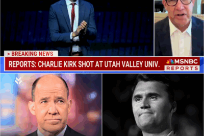 Matthew Dowd Fired After Charlie Kirk Assassination Remarks — One Sentence That Ended His Career
