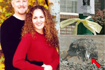 THE PERFECT HUSBAND’S FINAL LIE — The True Story Behind Salt Lake City’s Most Twisted Disappearance