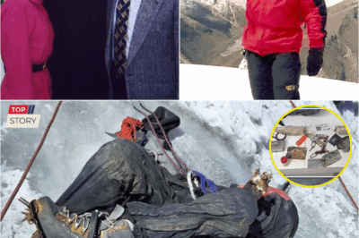 “Frozen in Time: The 22-Year Secret That Mount Huascarán Finally Revealed About an American Climber”